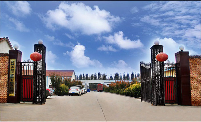 Our Company Facility