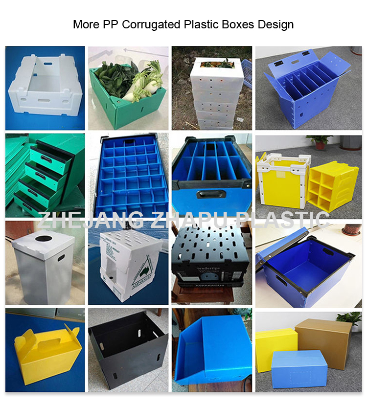 Product Specification 1