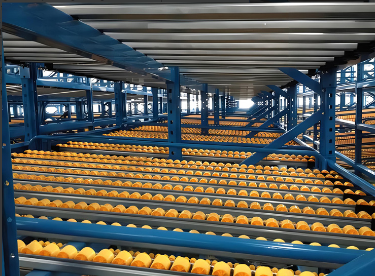 Carton Flow Roller Bed