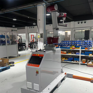 Manufacturer Workstations And Custom Projects JAKA 20KG Automation Robot Palletizer Robot Pallet Stacker