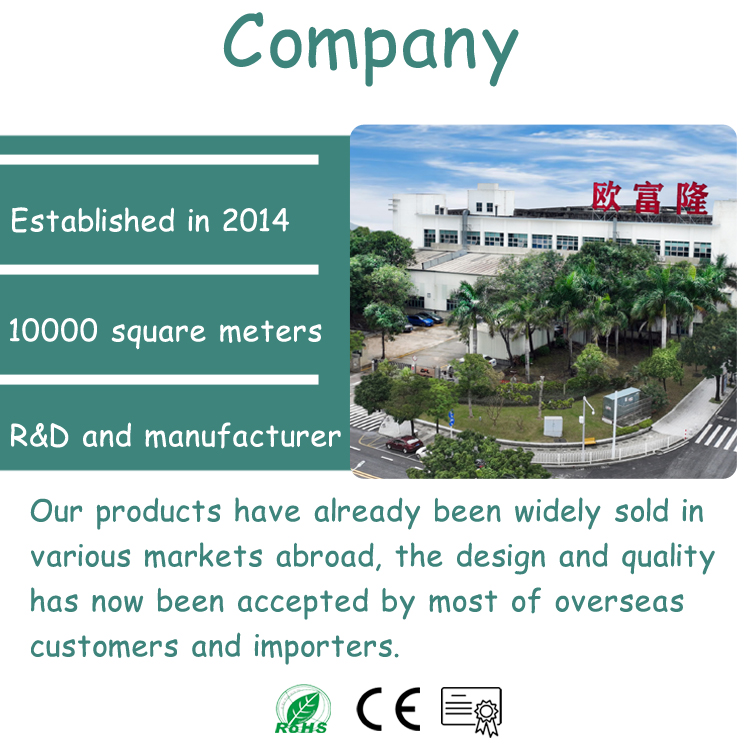 Company Profile Overview 1
