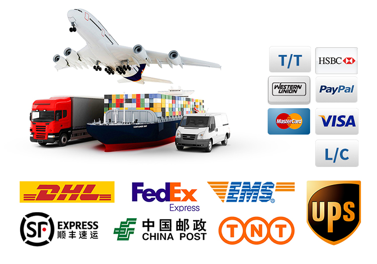 Container Loading Shipping